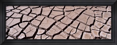 Framed Close-up of cracked mud, South Dakota, USA Print