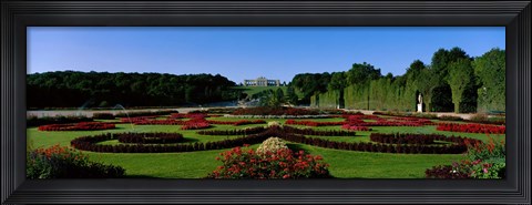 Framed Schonbrun Gardens Vienna Austria Print