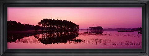 Framed Panoramic View Of The National Forest During Sunset, Chincoteague National Wildlife Refuge, Virginia, USA Print