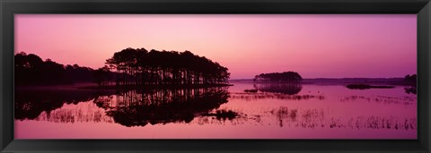 Framed Panoramic View Of The National Forest During Sunset, Chincoteague National Wildlife Refuge, Virginia, USA Print