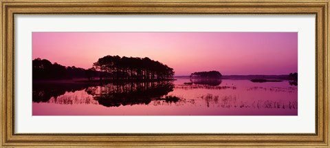 Framed Panoramic View Of The National Forest During Sunset, Chincoteague National Wildlife Refuge, Virginia, USA Print
