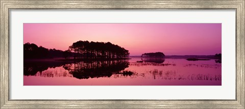 Framed Panoramic View Of The National Forest During Sunset, Chincoteague National Wildlife Refuge, Virginia, USA Print