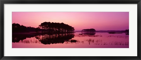 Framed Panoramic View Of The National Forest During Sunset, Chincoteague National Wildlife Refuge, Virginia, USA Print