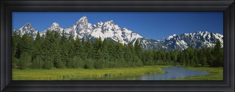 Framed Trees along a river, Near Schwabachers Landing, Grand Teton National Park, Wyoming Print