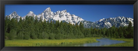 Framed Trees along a river, Near Schwabachers Landing, Grand Teton National Park, Wyoming Print