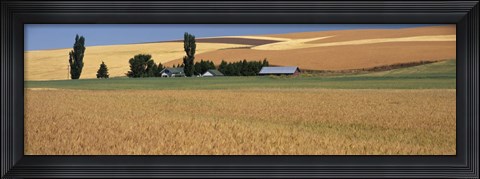 Framed Farm, Saint John, Washington State, USA Print