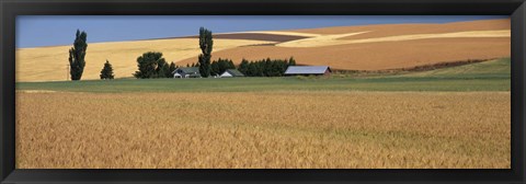 Framed Farm, Saint John, Washington State, USA Print