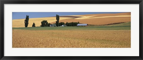 Framed Farm, Saint John, Washington State, USA Print