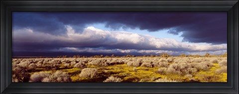 Framed Clouds, Mojave Desert, California, USA Print