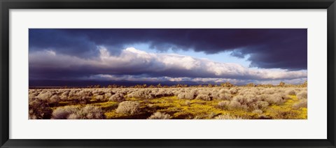 Framed Clouds, Mojave Desert, California, USA Print