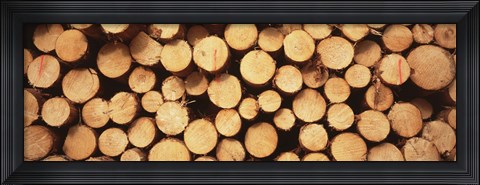 Framed Marked Wood In A Timber Industry, Black Forest, Germany Print