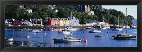 Framed Boats docked at a harbor, Tobermory, Isle of Mull, Scotland Print