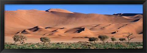 Framed Africa, Namibia, Namib Desert Print