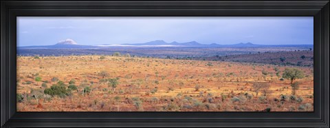 Framed Tarangire Park, Tanzania, Africa Print