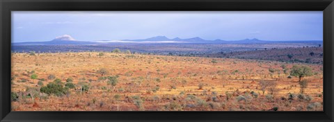 Framed Tarangire Park, Tanzania, Africa Print