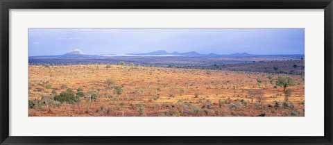 Framed Tarangire Park, Tanzania, Africa Print