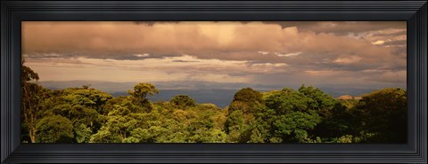 Framed Monteverde Puntarenas Province Costa Rica Print