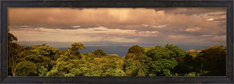 Framed Monteverde Puntarenas Province Costa Rica Print