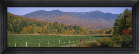 Framed Woman cycling on a road, Stowe, Vermont, USA Print