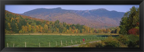 Framed Woman cycling on a road, Stowe, Vermont, USA Print