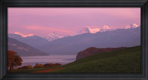 Framed Switzerland, Bernese Alps, Lake Thun Print