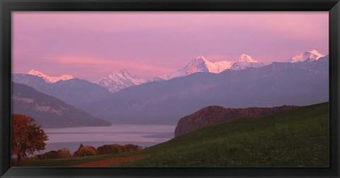 Framed Switzerland, Bernese Alps, Lake Thun Print