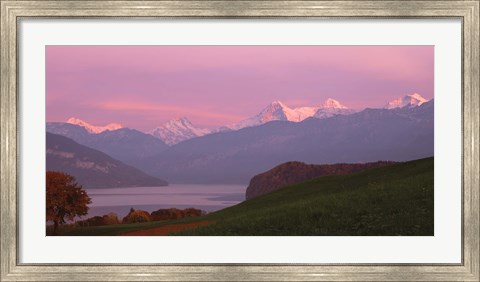 Framed Switzerland, Bernese Alps, Lake Thun Print