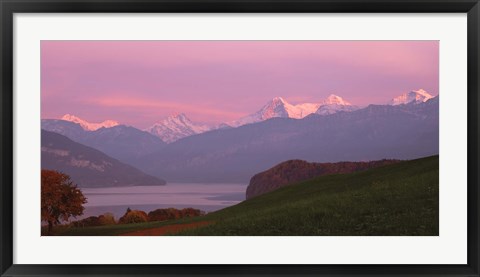 Framed Switzerland, Bernese Alps, Lake Thun Print