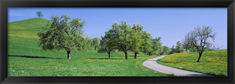 Framed Road Cantone Zug Switzerland Print