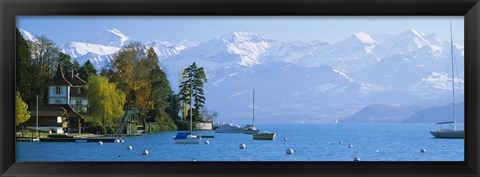 Framed Lake on the mountainside, Lake Thun, Hilterfingen, Canton of Bern, Switzerland Print