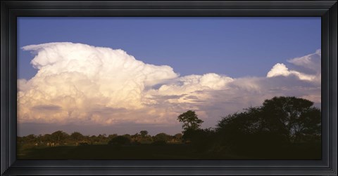 Framed Clouds over a forest, Moremi Game Reserve, Botswana Print