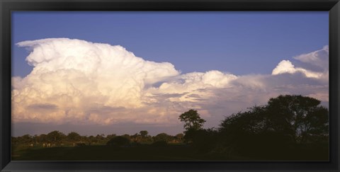 Framed Clouds over a forest, Moremi Game Reserve, Botswana Print