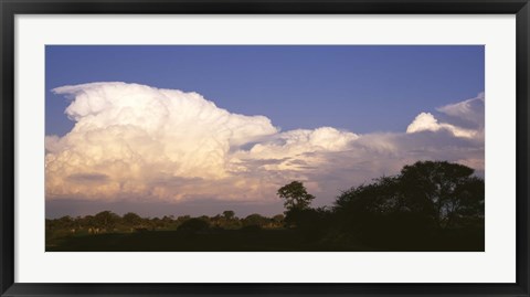 Framed Clouds over a forest, Moremi Game Reserve, Botswana Print