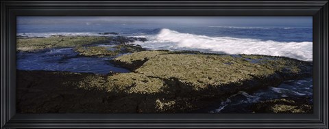 Framed Rock formations at the coast, Fernandina Island, Galapagos Islands, Ecuador Print