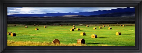 Framed Haystacks, Field, Jackson County, Colorado, USA Print