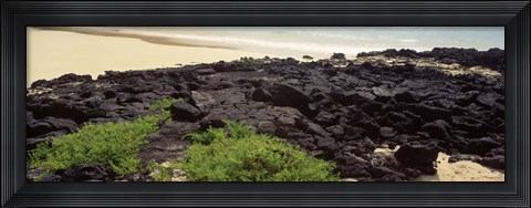 Framed Lava rocks at a coast, Floreana Island, Galapagos Islands, Ecuador Print