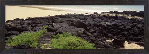 Framed Lava rocks at a coast, Floreana Island, Galapagos Islands, Ecuador Print