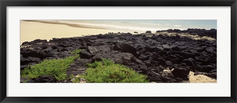 Framed Lava rocks at a coast, Floreana Island, Galapagos Islands, Ecuador Print