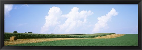 Framed Hay bales in a field, Jo Daviess county, Illinois, USA Print