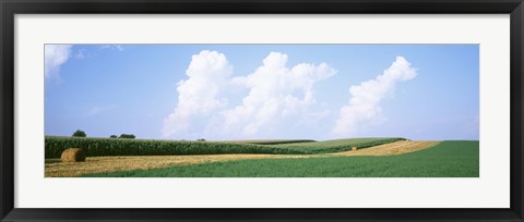 Framed Hay bales in a field, Jo Daviess county, Illinois, USA Print