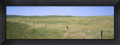 Framed Grass on a field, Cherry County, Nebraska, USA Print