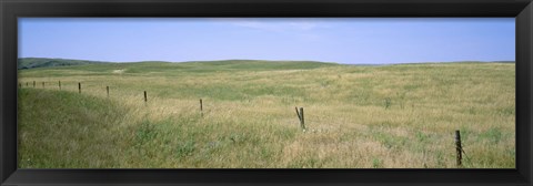 Framed Grass on a field, Cherry County, Nebraska, USA Print