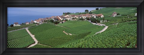 Framed Vineyards overlooking Lake Geneva, Switzerland Print