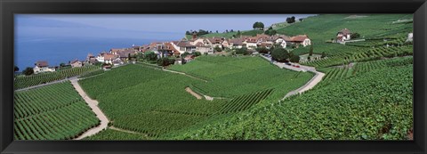 Framed Vineyards overlooking Lake Geneva, Switzerland Print