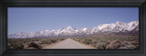 Framed USA, California, Sierra Nevada, Bushes on both sides of a road Print