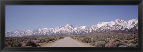 Framed USA, California, Sierra Nevada, Bushes on both sides of a road Print