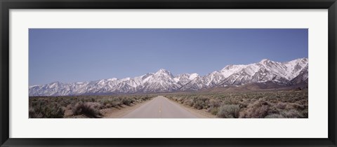 Framed USA, California, Sierra Nevada, Bushes on both sides of a road Print