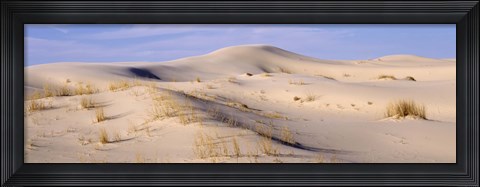 Framed Sand dunes on an arid landscape, Monahans Sandhills State Park, Texas, USA Print