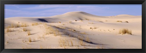 Framed Sand dunes on an arid landscape, Monahans Sandhills State Park, Texas, USA Print