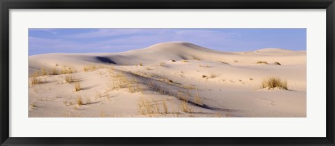 Framed Sand dunes on an arid landscape, Monahans Sandhills State Park, Texas, USA Print